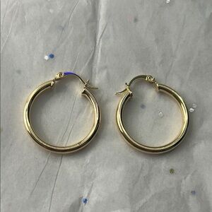 Elegant Gold Hoop Earrings